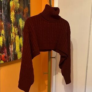 Elegant Maroon Turtleneck Sweater